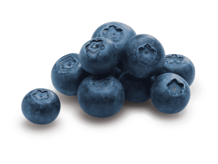 Zuckerwatte Zucker Blaubeere Blau 12,5 kg